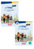 Prima aktiv A1.1 Deutsch für Jugendliche Textbook + Workbook