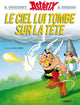 Le Ciel Lui Tombe Sur La Tete