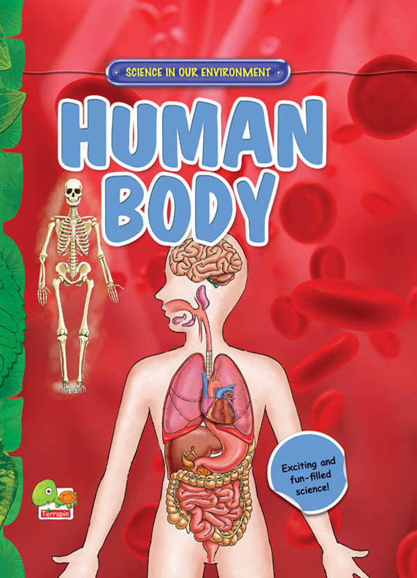 Human Body