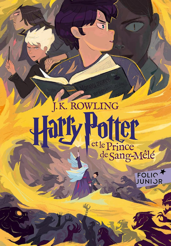 Harry Potter et le Prince de Sang-Mele