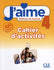 J'aime 4 - Niveau A2 - Cahier d'activités + Audio en ligne