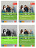 Netzwerk Neu A2 Textbook+Workbook+Glossar+Intensivtrainer Audios Available On Allango (Set Of 4 )