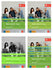 Netzwerk Neu A2- Textbook+Workbook+Glossar+Testheft Audios Available On Allango (Set Of 4 Books )