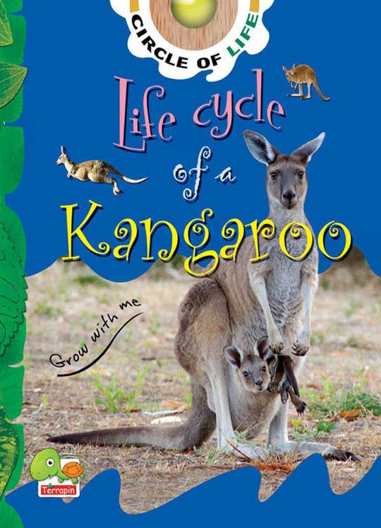 Life cycle of a kangaroo Goyalpublishers